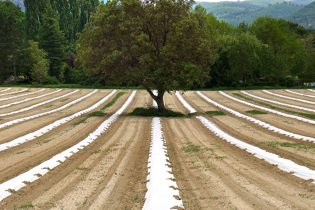 agroécologie